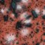 Mayco CG-980 Coral Puff