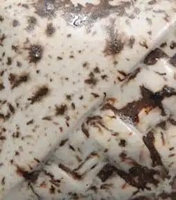 Mayco SW-155 Winter Wood