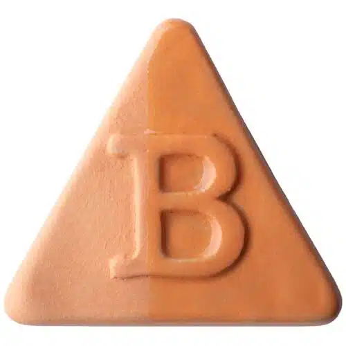 Botz engobe steengoed 9826 Florida