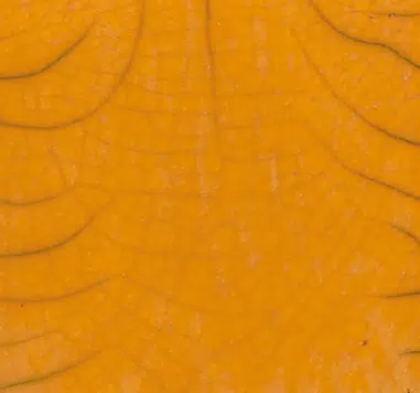 Magma MR791 geeloranje - RAKU