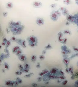 Mayco SW-153 Indigo Rain