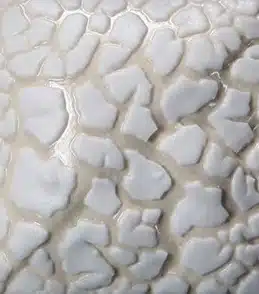 Mayco SW-403 White Mudcrack