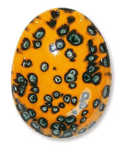 Terracolor FE-5252 Paradiesvogel