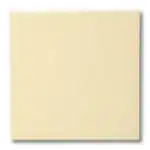 Terracolor FG-1010 Transparent - 200-ml