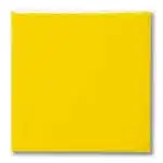 Terracolor FG-1031 Zitrone - 200 ml