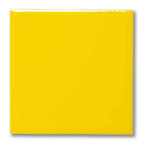 Terracolor FG-1031 Zitrone