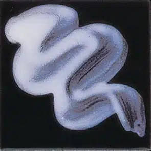 Botz Unidecor majolika 4009 wit