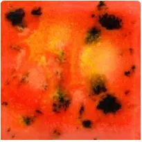 Mayco CG-1002 Day Lily