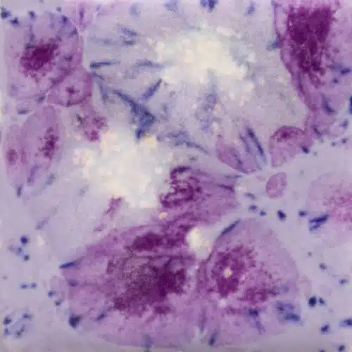 Mayco CG-1006 Purple Reign