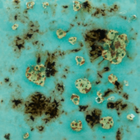 Mayco CG-1008 Blue Guppy