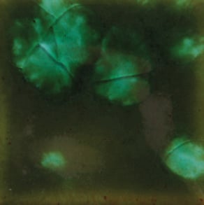 Mayco CG-707 Woodland Fantasy