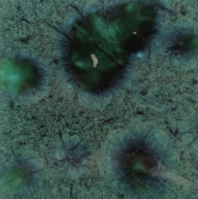 Mayco CG-713 Peacock Green