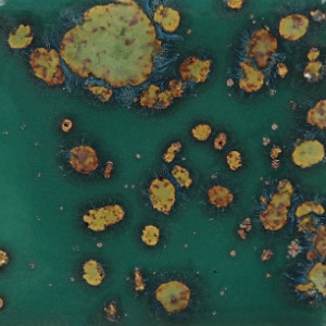 Mayco CG-780 Mystic Jade