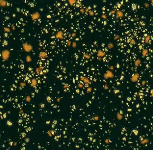 Mayco CG-798 Black Iris