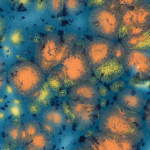 Mayco CG-983 Koi Pond