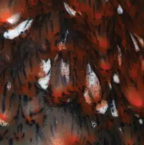 Mayco CG-986 Smoke and Fire *