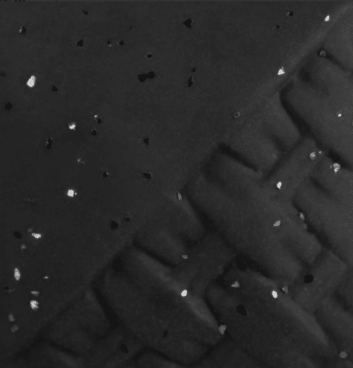 Mayco EG-006 Sparkle Black Engobe