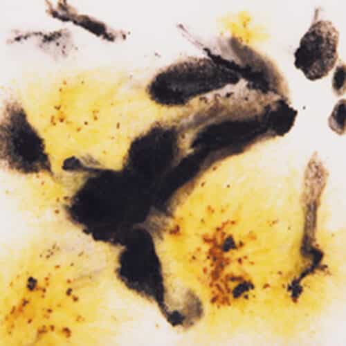 Mayco S-2726 Cheetah