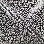 Mayco Sg-202 Cobblestone wit - 473-ml