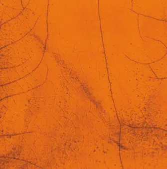 Magma MR790 orange - RAKU