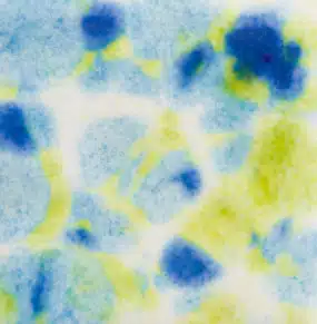 Mayco CG-1001 Gogh Iris