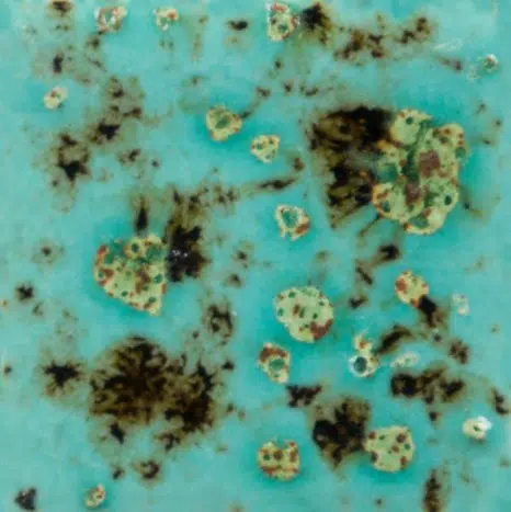 Mayco CG-1008 Blue Guppy