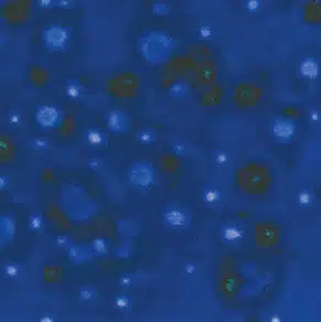 Mayco CG-958 Lagoon Blue