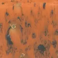 Mayco S-2708 Oriental Carmel