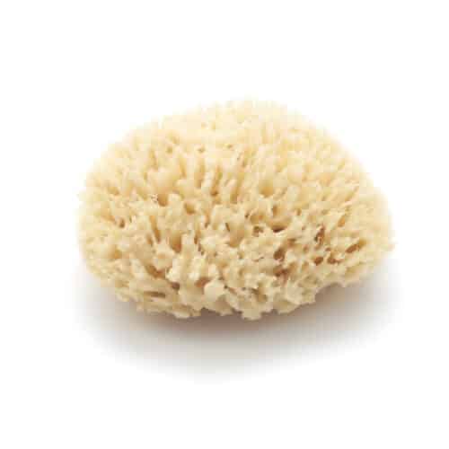 Natuurspons grof