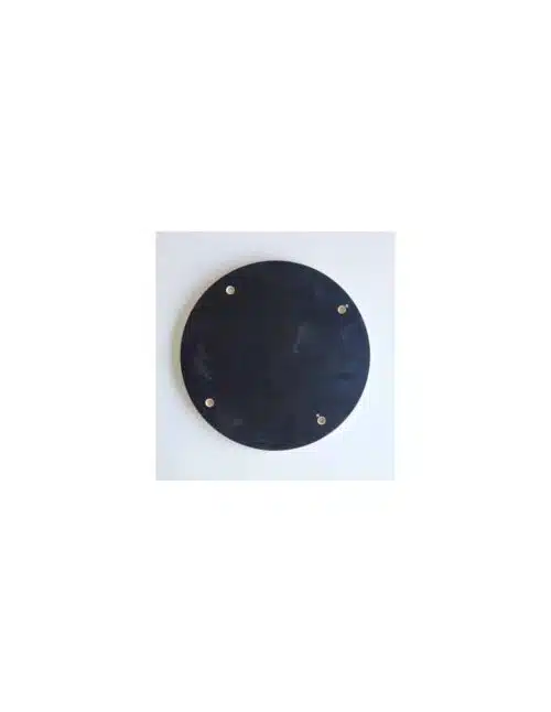 BAT schijf betonplex Ø 30 cm met pinholes
