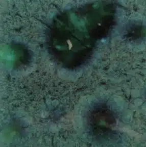 Mayco CG-713 Peacock Green