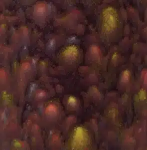 Mayco CG-969 Floral Fantasy