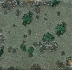 Mayco CG-973 Alligator