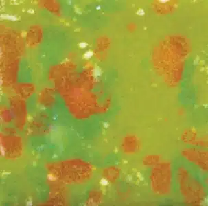 Mayco CG-987 Tree Frog