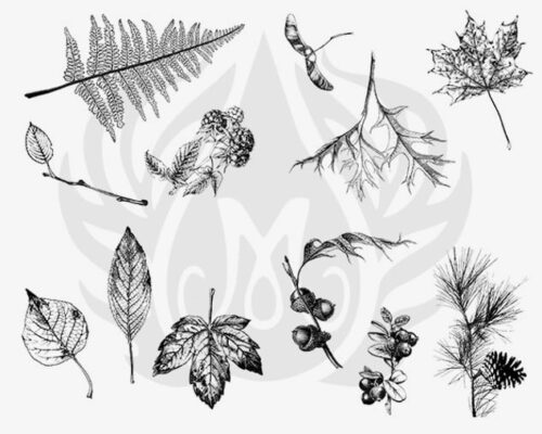 Mayco Designer Silkscreen - Botanical leaves