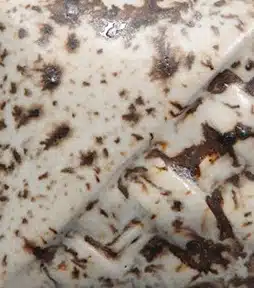 Mayco SD-155 Winter Wood Dry 4.54kg