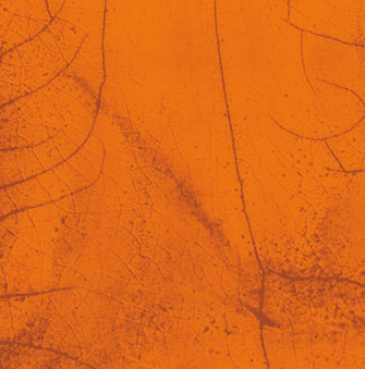 Magma MR790 orange - RAKU